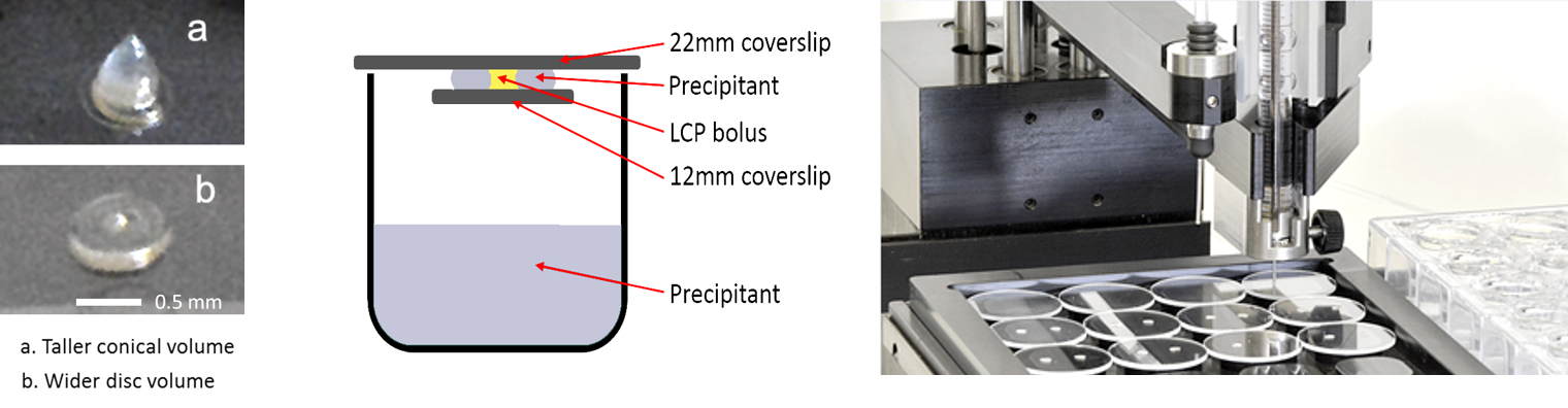 LCP_Dispensing