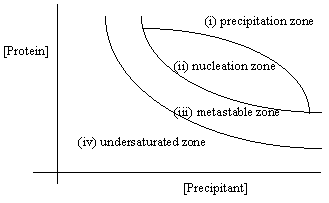 protein crystallization process